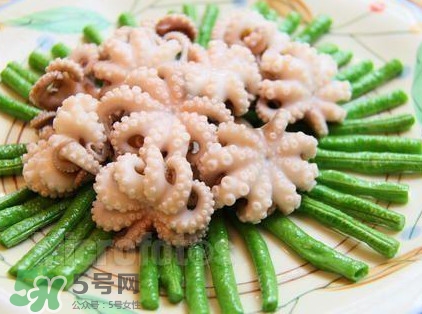 八爪魚頭里面的能吃嗎？八爪魚的墨汁可以吃嗎