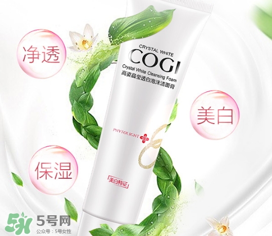 高姿洗面奶多少錢？高姿洗面奶真假查詢