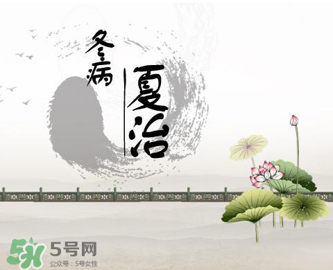 2017年三伏貼什么時候貼？2017年三伏貼貼幾天？