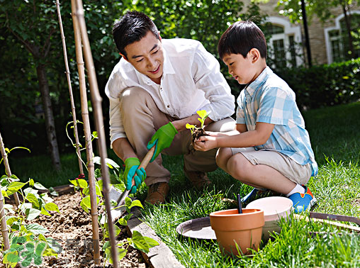 入伏種什么菜？入伏適合種哪些蔬菜？