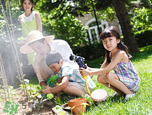 入伏種什么菜？入伏適合種哪些蔬菜？