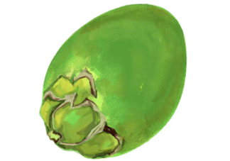 檳榔不能和什么一起吃？檳榔和什么不能一起吃？