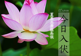 2017年幾月幾號(hào)入伏？入伏是幾月幾號(hào)2017？