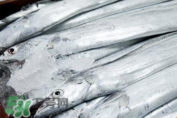 帶魚是深海魚嗎？帶魚是海鮮嗎