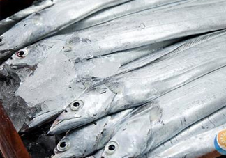 帶魚是深海魚嗎？帶魚是海鮮嗎