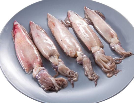 章魚是魷魚嗎？章魚和魷魚有什么區(qū)別