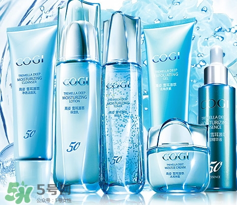 高姿和韓后哪個(gè)好？高姿和韓后哪個(gè)檔次高？