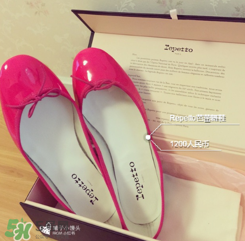 repetto是什么牌子_哪個(gè)國家的_什么檔次？