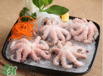 八爪魚(yú)可以生吃嗎？八爪魚(yú)生吃有寄生蟲(chóng)嗎