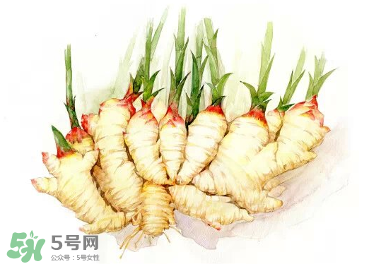 7月份可以種生姜嗎？生姜幾月份種植？