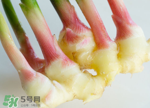 7月份可以種生姜嗎？生姜幾月份種植？