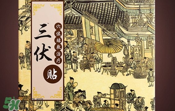 貼三伏貼可以游泳嗎？貼三伏貼游泳有什么壞處？