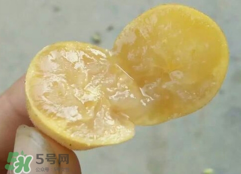 黃皮可以吃皮嗎？黃皮果可以帶皮吃嗎