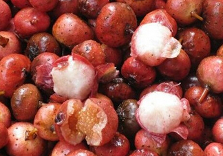 野地瓜哪里可以買到？哪個(gè)地方有種植野地瓜的