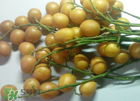 黃皮果可以放冰箱嗎？黃皮果可以放多久