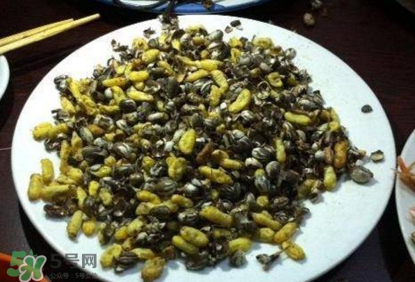 洋辣子是什么？洋辣子能吃嗎？