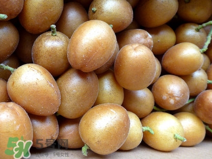 黃皮可以吃皮嗎？黃皮果可以帶皮吃嗎