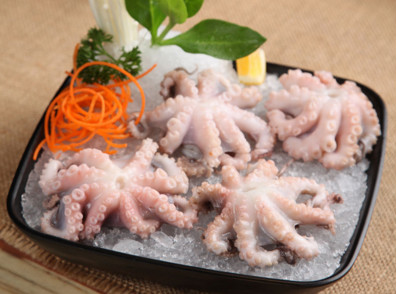 八爪魚是海鮮嗎？八爪魚是發(fā)物嗎