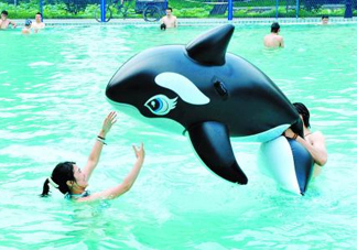三伏天可以游泳嗎？三伏天游泳會有濕氣嗎？