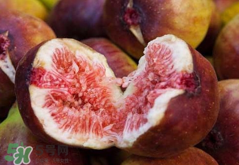 無花果能治痔瘡嗎？無花果怎樣吃治痔瘡？