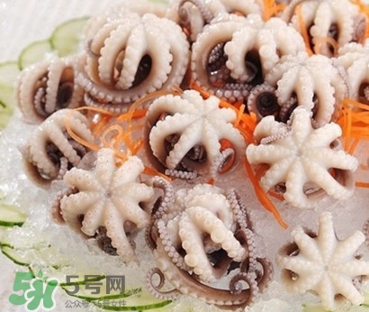 八爪魚(yú)為什么有大米？八爪魚(yú)為什么有墨汁