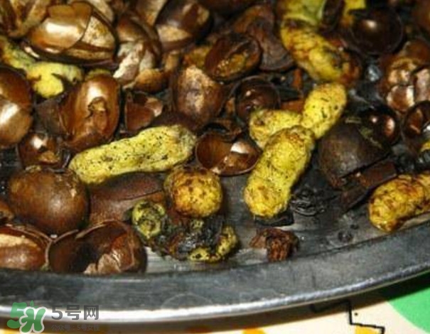 洋辣子是什么？洋辣子能吃嗎？