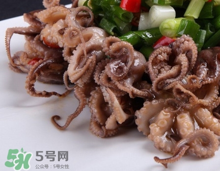 八爪魚怎么做好吃？八爪魚怎么保存