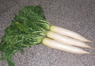 頭伏蘿卜二伏菜是什么意思？頭伏種什么菜？