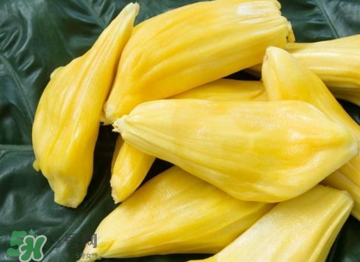 木菠蘿買來怎么吃？木菠蘿吃多了會怎樣？