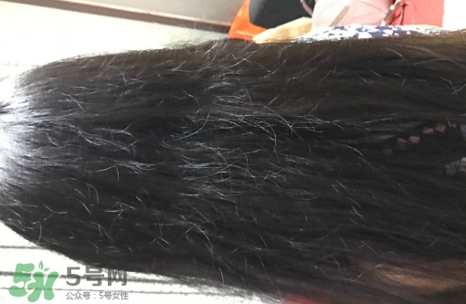 mm魔法梳和tt梳子哪個好？michel mercier和tangle teezer魔法梳