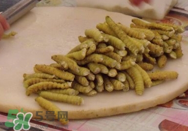 豆丹做菜前怎么處理干凈？豆丹怎么養(yǎng)殖