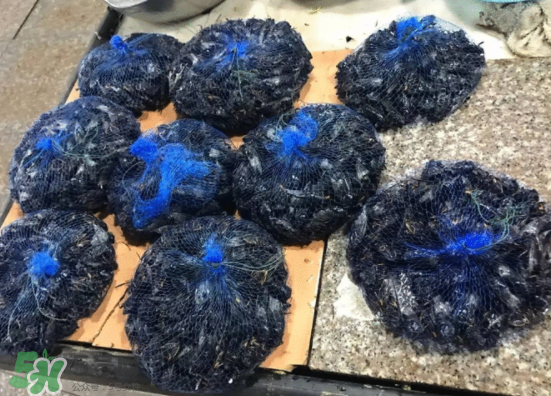 知了多少錢一斤？知了多少錢一斤2017？