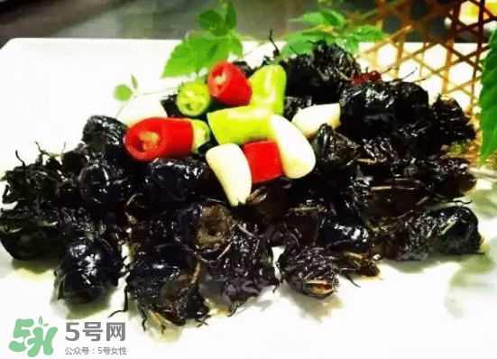 知了多少錢一斤？知了多少錢一斤2017？