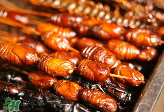 油炸知了猴幾分鐘？油炸知了猴怎么做好吃？