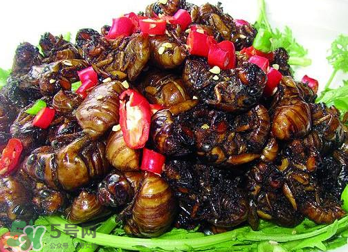 知了猴多少錢一個？油炸知了猴多少錢一盤？