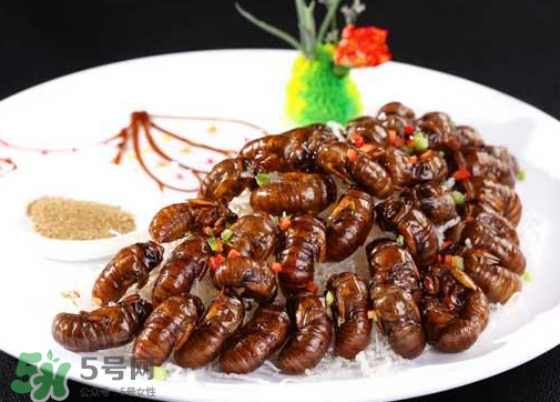 知了不能和什么一起吃？知了猴不能和什么同吃？