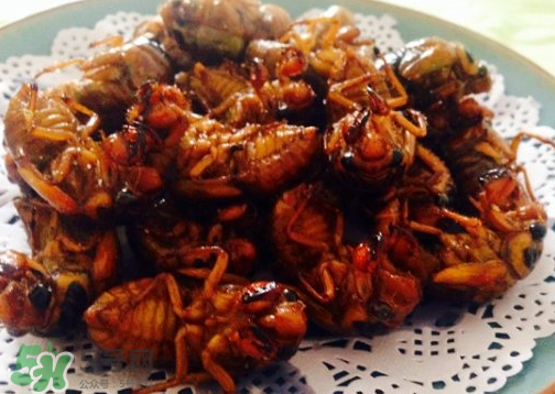 知了不能和什么一起吃？知了猴不能和什么同吃？