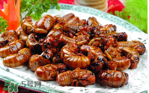 知了不能和什么一起吃？知了猴不能和什么同吃？