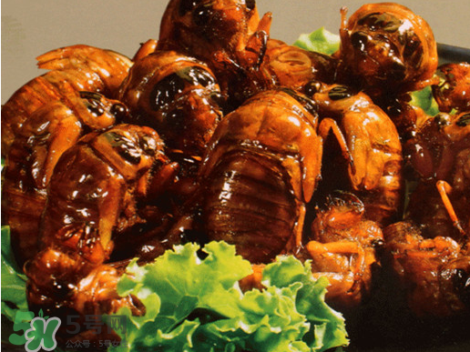 知了猴怎么吃？知了猴什么人不能吃？