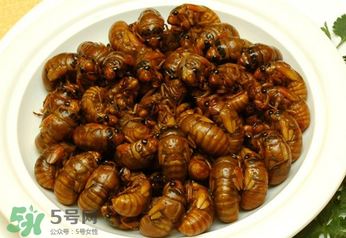 知了猴可以和雞蛋一起吃嗎？知了和雞蛋可以一起吃嗎？