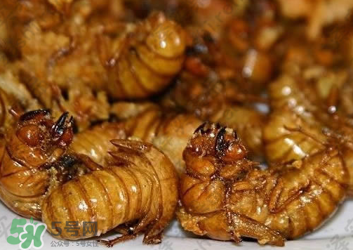 知了猴可以和雞蛋一起吃嗎？知了和雞蛋可以一起吃嗎？