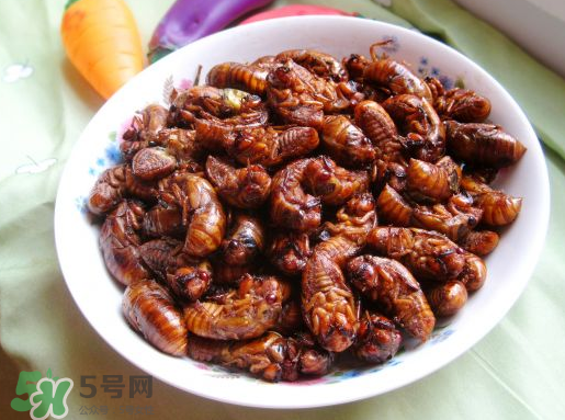 知了怎么洗干凈？知了猴怎么清洗？