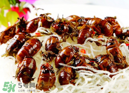 知了怎么洗干凈？知了猴怎么清洗？