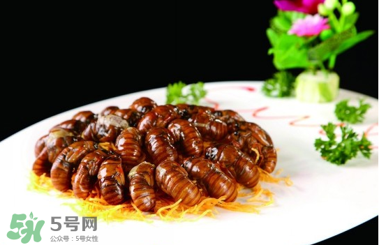 知了猴孕婦可以吃嗎？孕婦能吃知了猴嗎？