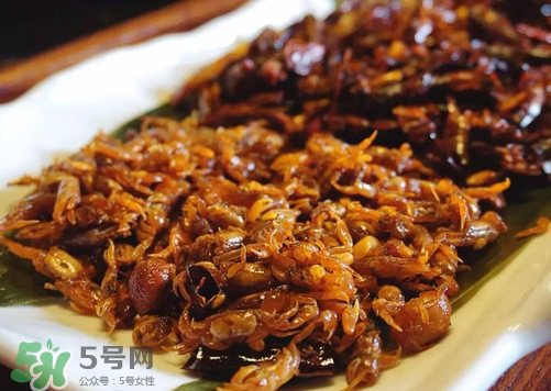 知了猴可以放冰箱嗎？知了猴可以冷凍嗎？