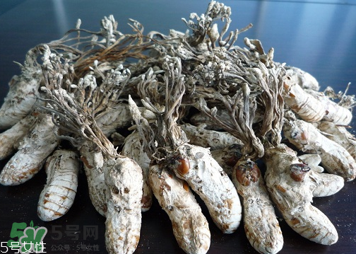 金蟬花多少錢一斤？2017金蟬花價(jià)格