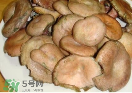 樅樹菌孕婦可以吃嗎？孕婦能吃樅樹菌嗎