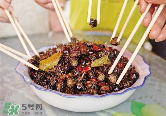 知了猴孕婦可以吃嗎？孕婦能吃知了猴嗎？