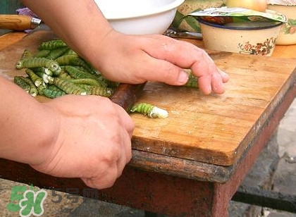 豆丹做菜前怎么處理干凈？豆丹怎么養(yǎng)殖