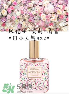 ohana mahaalo香水是什么牌子？ohana mahaalo在哪買？